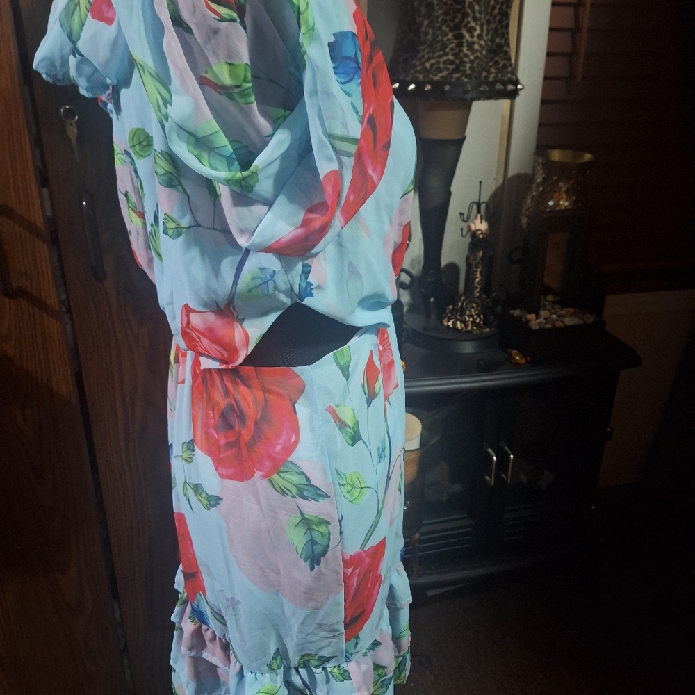 Floral Dress with Red Roses - Picture 7 of 7
